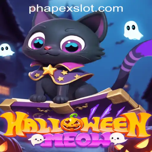 Unveiling HalloweenMeow: The Spooky Adventure of ApexSlot